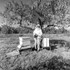 Doris Harper, Ogden Holler